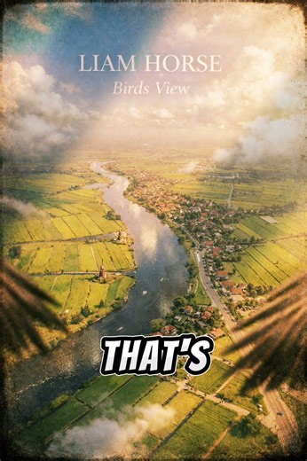 Liam Horse - Birds View