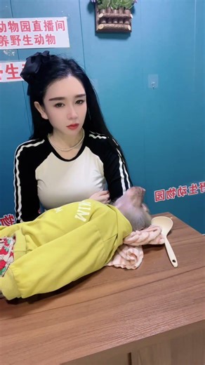 # Monkey Come to Life # Adorable Pets That Can Act