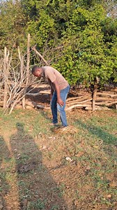 1.6M views · 21K reactions | He has been caught by a python. | Happyness Mlelwa | Facebook