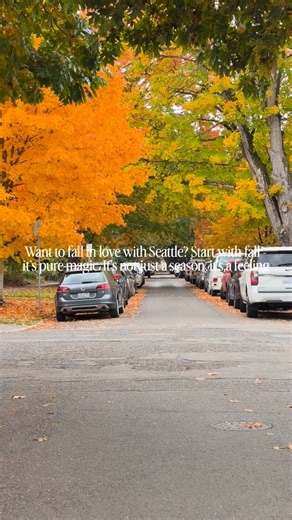 Want to fall in love with Seattle?  Start with fall - it’s pure...
