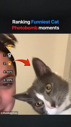 Ranking Funniest Cat Photobomb Moments 😆