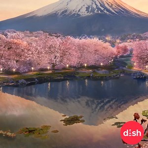 Keep gazing upon the Cherry Blossom trees on Channel 199 all month. Learn more at mydish.com/dishscapes | DISH