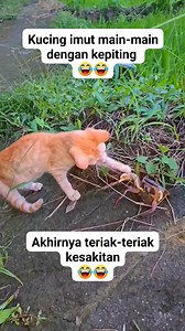 😅😅 | Indra Kalaka