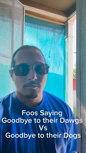 Dawgs vs Dogs | Alexander Gibson