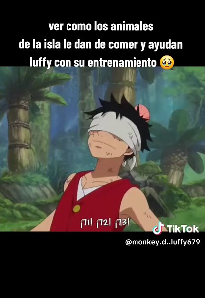 Luffy y sus amigos en la isla: momentos adorables