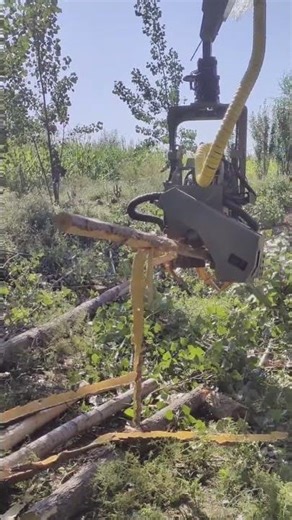 Mini excavator tree shear! Good