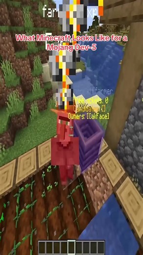 Exploring Minecraft's Debug Renderers and Mob Behaviors