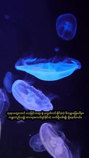 Explore Myanmar's Rich Culture and History