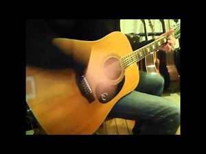 guit.vint Epiphone FT 165