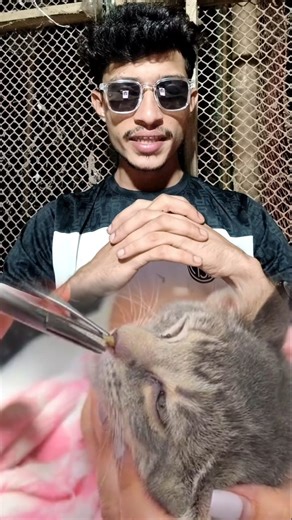 Cat botfly removal treatment #cat #care | Md Juwel Bou