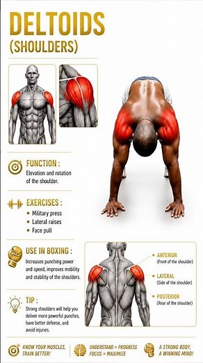 💪🏾 Build Stronger Shoulders with Deltoid Training!