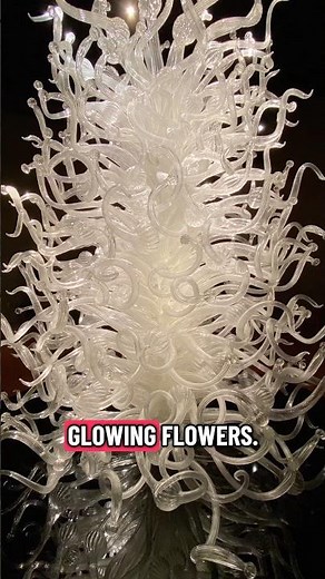 Inside Seattle’s Famous Chihuly Glass Museum ✨🌈 #Seattle #BlownGlass #GlassMuseum #Chihuly #Shorts