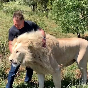 21M views · 72K reactions | These people had some incredibly close encounters with wildlife  | UNILAD | Facebook