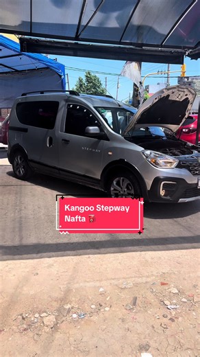 Renault Kangoo Stepway 2018 Overview and Features