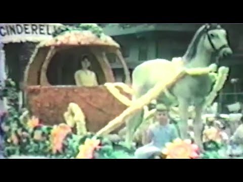 Fruit Bats – The Pet Parade (Lyric Video)