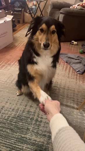 Dane Boe on Instagram: "Helo is the best hand shaker of all time @thegreatbeardy @thizzlen"