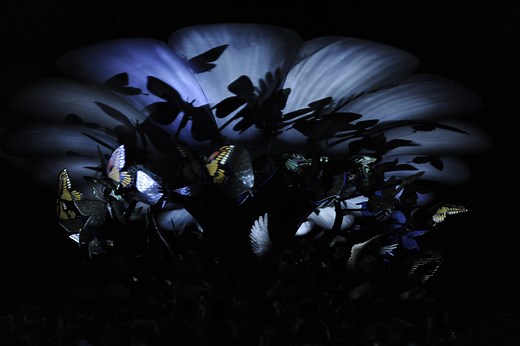 The Garden of Unearthly Delights · Mat Collishaw
