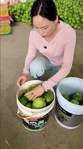 Fresh Harvest: Packing Green Melons 🍈🧺#harvest #freshproduce #farminglife