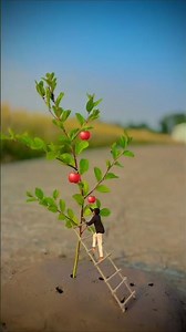 Creative videography💡👀😱 #shorts #shortvideo #comedy #photography #creative #videoediting#gamtng