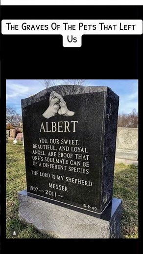 Unique And Heartwarming: The Precious Pet Cemetery You Need To See (part 1 ).