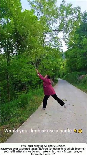Harvesting Locust Flowers with a DIY Hook – Clever & Simple 🌸🪝