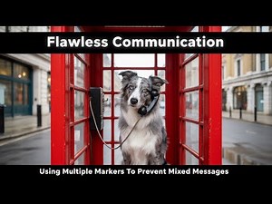 A Tip to Create Flawless Communication With Your Dog
