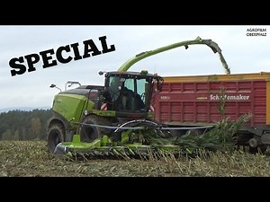 Special: Claas Jaguar 980 - 50 Jahre Jubiläums-Sonderedition - Maishäckseln - Reis Logistik