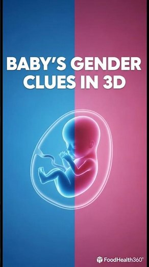 👉 Baby’s Gender Explained in 3D: Early Science Clues from Development #short