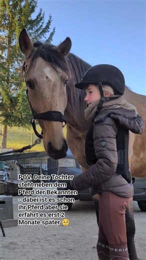 Sie träumte von einem Falben, die Bekannte hatte einen. #horse #equestrianjourney #equestrian