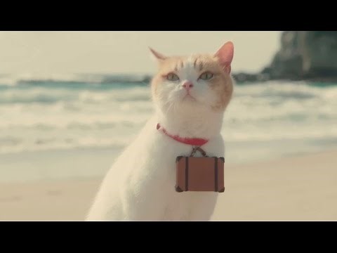 "Nyaran" is too cute! New "Jalan" commercials: "Little disciple" and "Little friend"