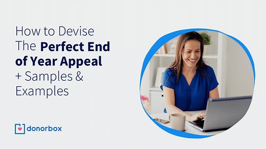 End-of-Year Appeal: How to Devise the Perfect Strategy (  Free Samples)