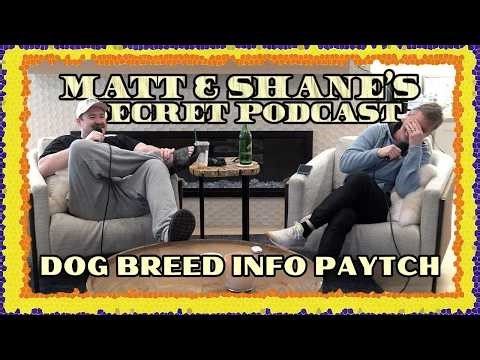 DOG BREED INFO PAYTCH | Matt and Shane's Secret Podcast