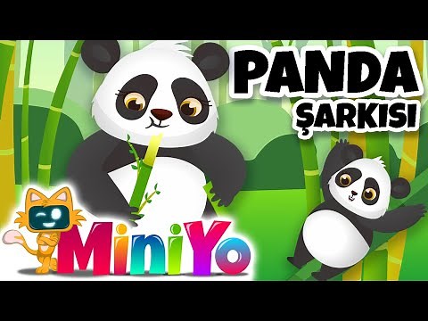 Panda Şarkısı | İlginç Hayvan Şarkıları Bölüm3