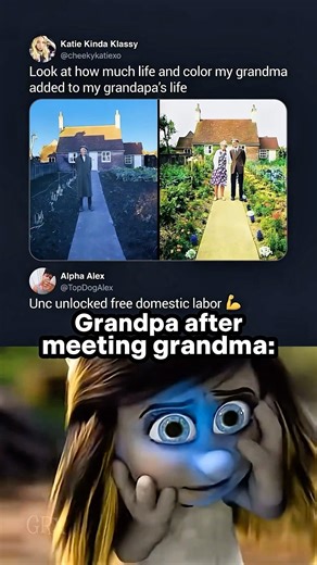 #catmemes 🤩