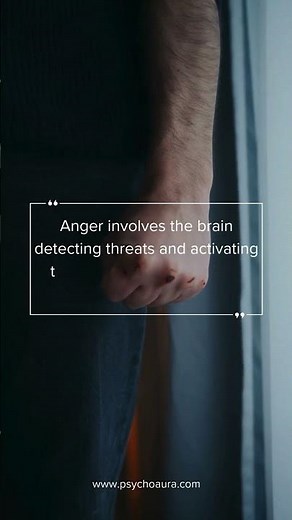 The Science Behind Anger and Its Triggers Explained. #angermanagement #angerissue #triggers