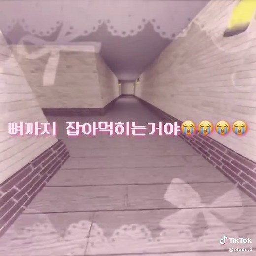 파자마와 팩토리얼: 추천 영상 모음