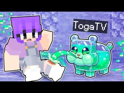 Tô Gà Trở Thành Hamster Thần Dược Trong Minecraft!