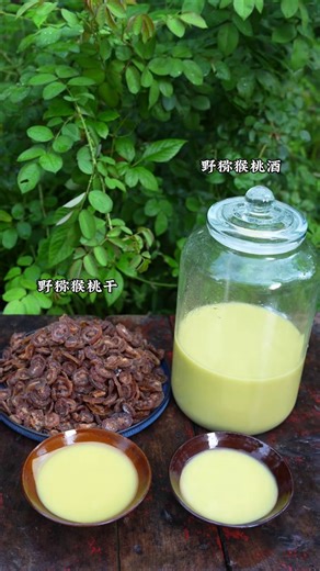 From orchard to bottle | Wild kiwi wine journey | Village Lifestyle Vlog