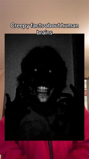 I’m the most jumpy person ever I swear it #creepyfact #humans #psychology #fypage #horror