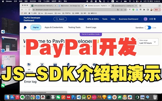 Paypal JS-SDK 支付流程简单介绍和演示【前端 NUXT.JS 后端 Koa2】