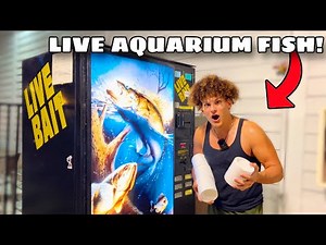 I Found VENDING MACHINE Filled With LIVE AQUARIUM FISH!