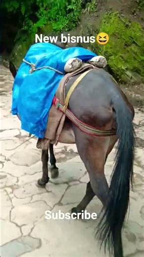 new bisnus😅 #kedarnathtemple #comedy #rasta