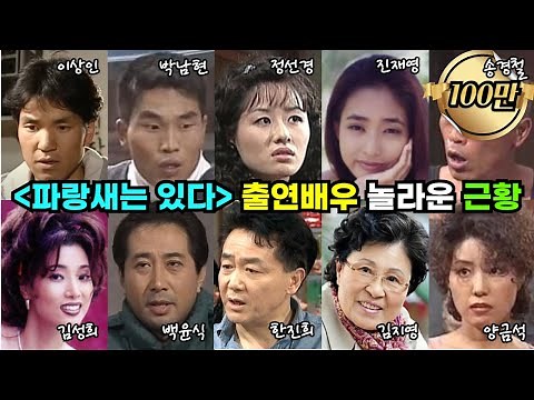 1997년 드라마 '파랑새는 있다' 출연 배우들 놀라운 근황