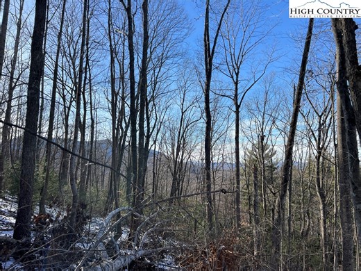 Tbd (Lot 8) Woodland Ridge, Lansing, NC 28643 - MLS 259869 - Coldwell Banker