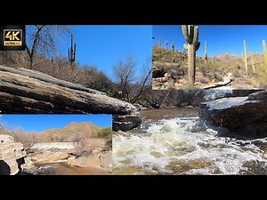 Hiking Scenic Sabino Canyon in Tucson, AZ in 4K