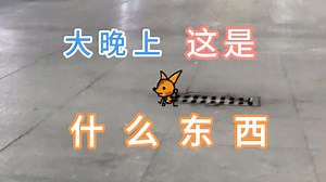 【逐帧动画】大晚上看到了什么小东西，二维动画实景动画结合搞的，实景结合动画YYDS，省了不少时间