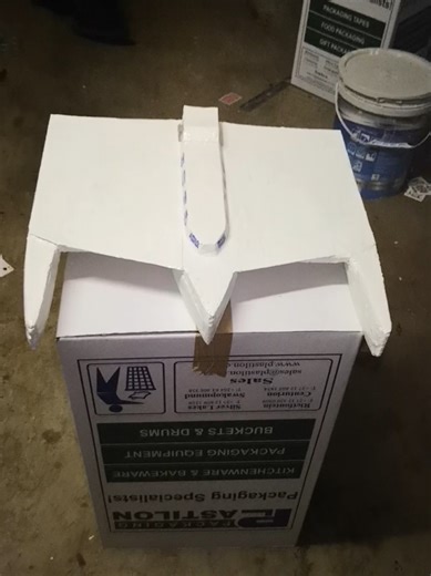 Building a Trimaran: First Concept Model Insights