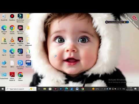 CS201 Assignment 1 Solution Fall 2025 | CS201 Assignment 1 Complete Solution