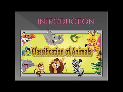 GRADE 4 - Classifying Animals using Identification Key