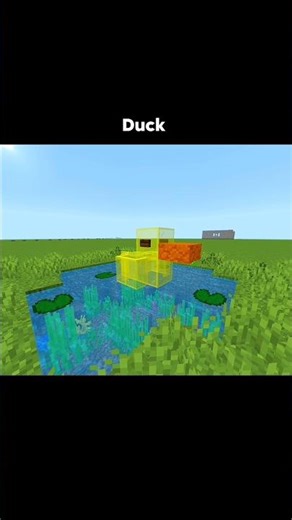 Minecraft Duck 🦆